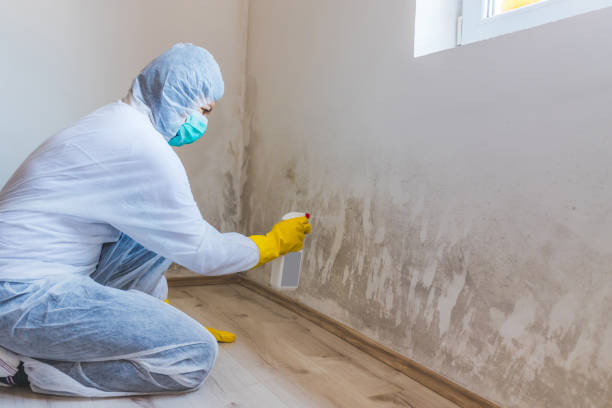 Mold inspector in Beech Creek performing thermal imaging